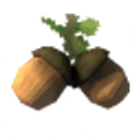 Acorns icon