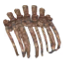 Asksvin Ribcage icon