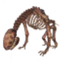Asksvin Skeleton icon