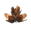 Beech Seeds icon