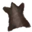 Bear Hide icon