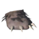 Bear Paw icon