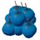 Blueberries icon