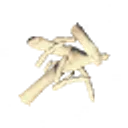 Bone Fragments icon