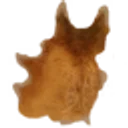 Deer Hide icon