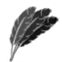 Feathers icon
