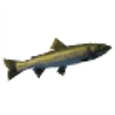 Pike icon