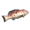 Grouper icon