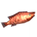 Coral Cod icon