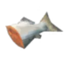 Raw Fish icon