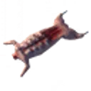 Hare Meat icon