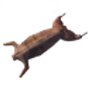Cooked Hare Meat icon