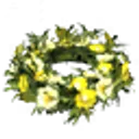 Midsummer Crown icon