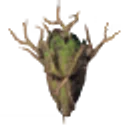 Improved archery icon