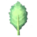 Kale icon