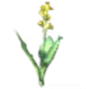 Seed Kale icon