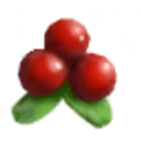 Lingonberries icon