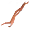 Moose Sinew icon