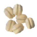 Oats icon