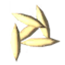 Oat Seeds icon