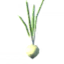 Onion icon