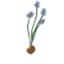 Seed-onion icon