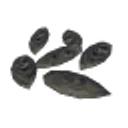 Onion Seeds icon