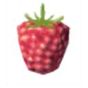 Raspberries icon