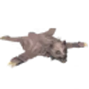 Bearskin Rug icon