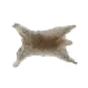 Wolf Rug icon