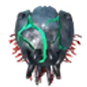 Carapace Buckler icon