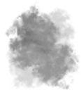 Smoked icon