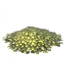 Coin Pile icon