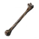 Withered Bone icon