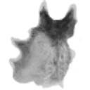 Wolf Pelt icon