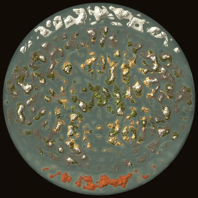 World map of Valheim seed NNEaZLX4Cl: biomes and coastlines