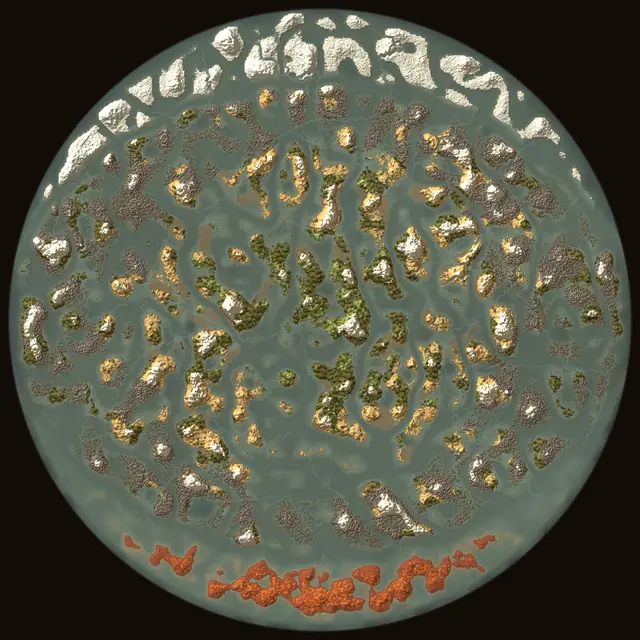 World map of Valheim seed swQjCWKV7A: biomes and coastlines